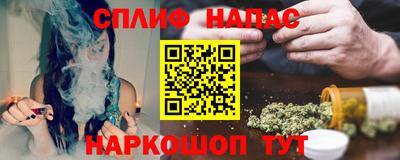 спиды Дубна