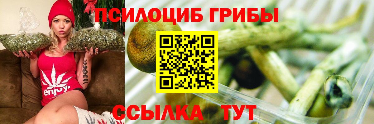 Галлюциногенные грибы GOLDEN TEACHER  Вход с VPN  Костомукша 